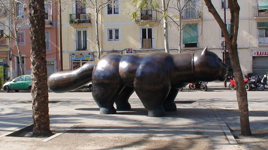 photo of the Raval cat