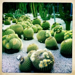 photo of the Cactus Park Barcelona