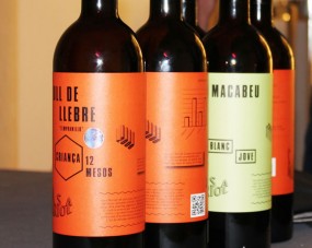 wine from Casa Mariol