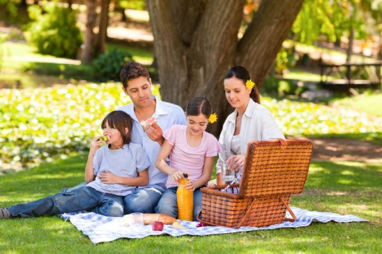 A family having a picnic
