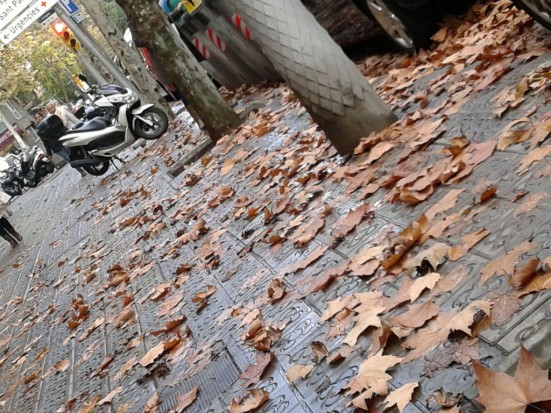 Autumn in Barcelona