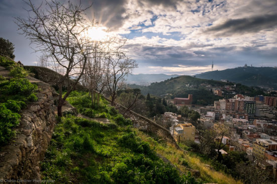 view of the Serra de Collserola